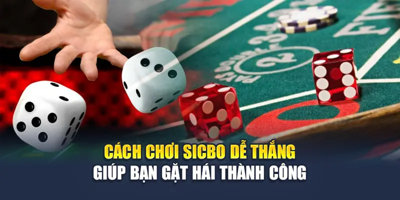 Cách chơi sicbo dễ thắng giúp bạn gặt hái thành công